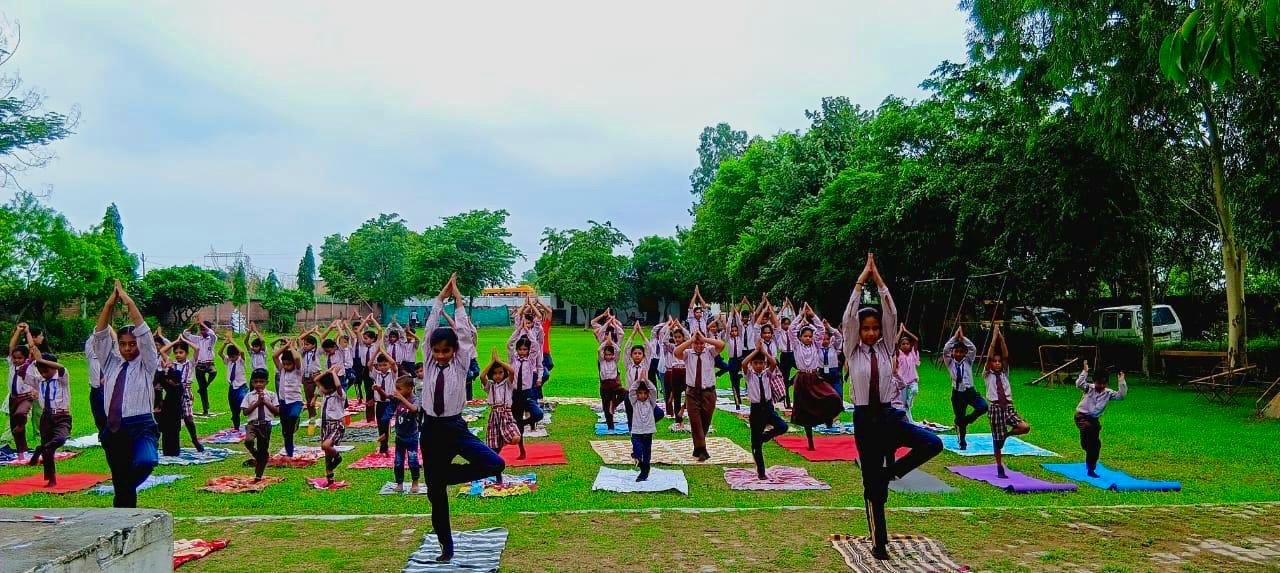 Yoga in Green Field